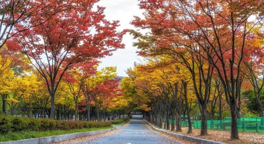 Hotel Bene インチョン広域市 エクステリア 写真